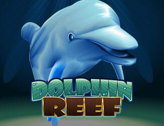 Dolphin Reef